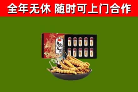 珠海市烟酒回收冬虫夏草礼盒.jpg